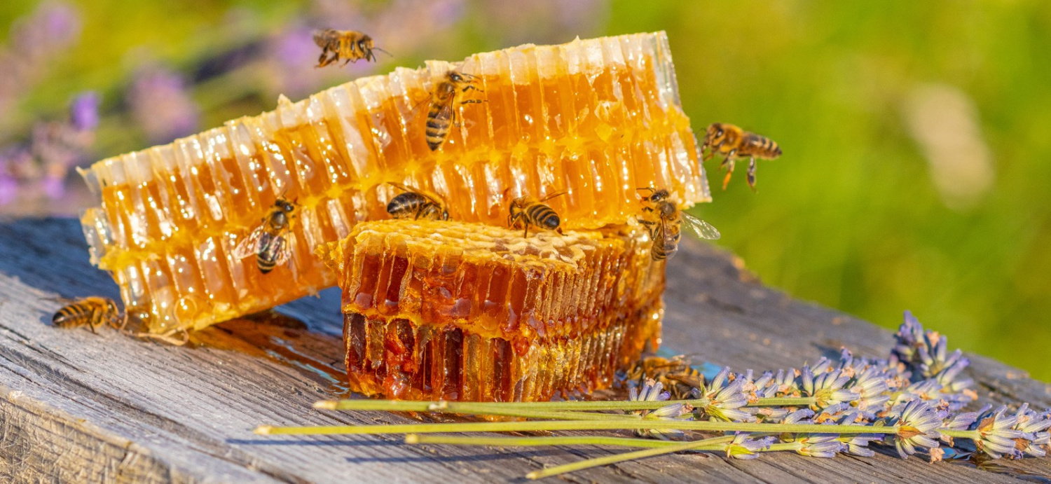 Мед в кулинарии: свойства и особенности продукта