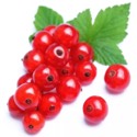 Красная смородина: польза ягод для красоты, здоровья и фигуры