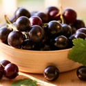Черная смородина для здоровья и кулинарии