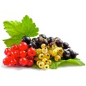 Время витаминов: польза от летних ягод